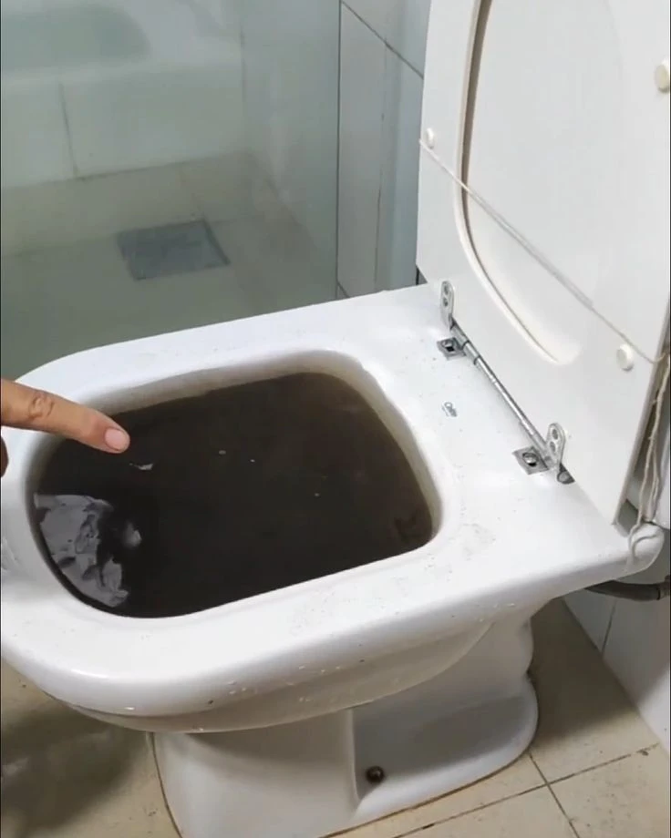 Desentupimento de Vaso Sanitários
